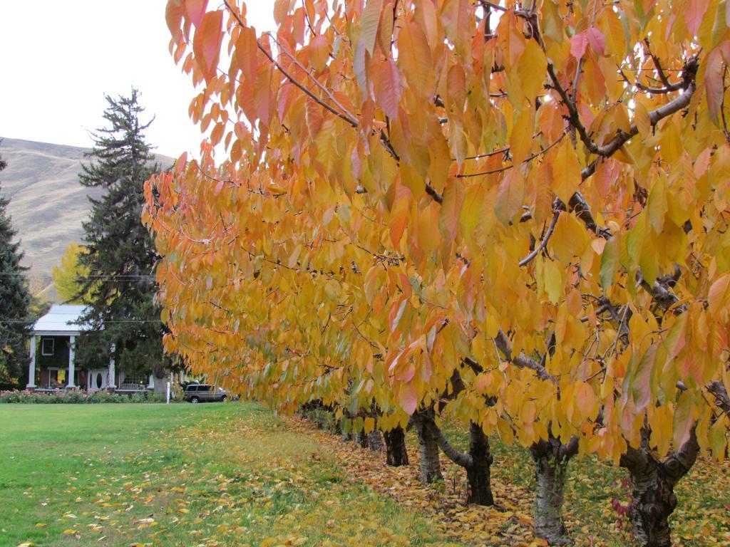 Warm Springs Inn & Winery Sunnyslope Exteriör bild